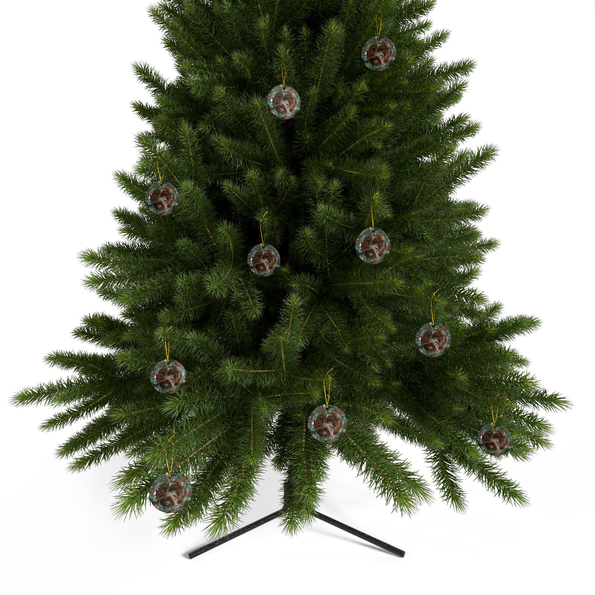 COCONUT ornament