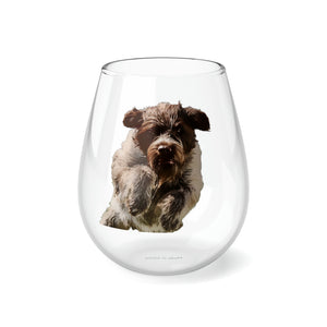 2023 CHRIS IIStemless Wine Glass, 11.75oz