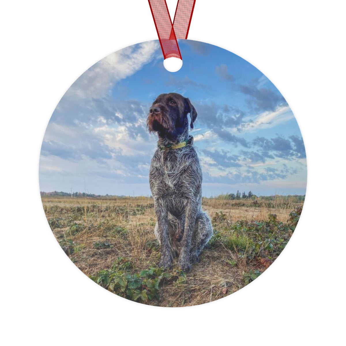 AO5 Metal Ornaments