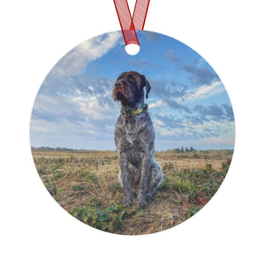AO5 Metal Ornaments