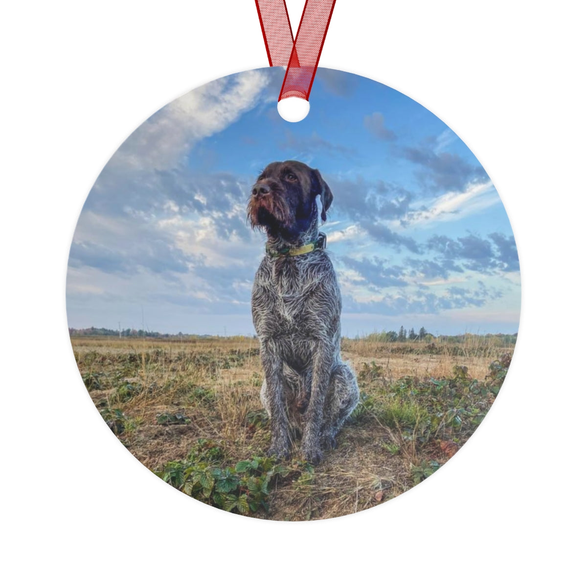 AO5 Metal Ornaments