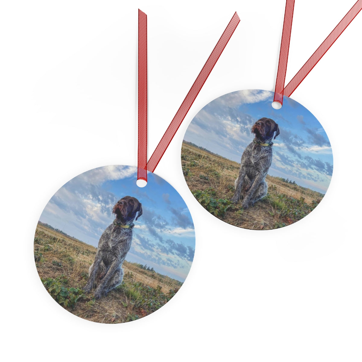AO5 Metal Ornaments