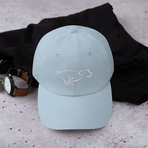 ZOOMIES HAT