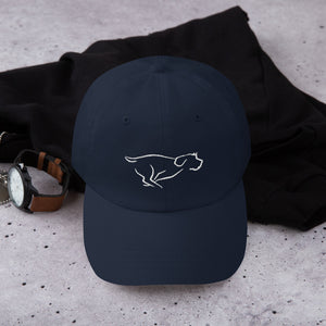 ZOOMIES HAT