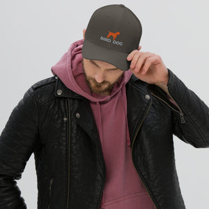 BIRD DOG Structured Twill Cap