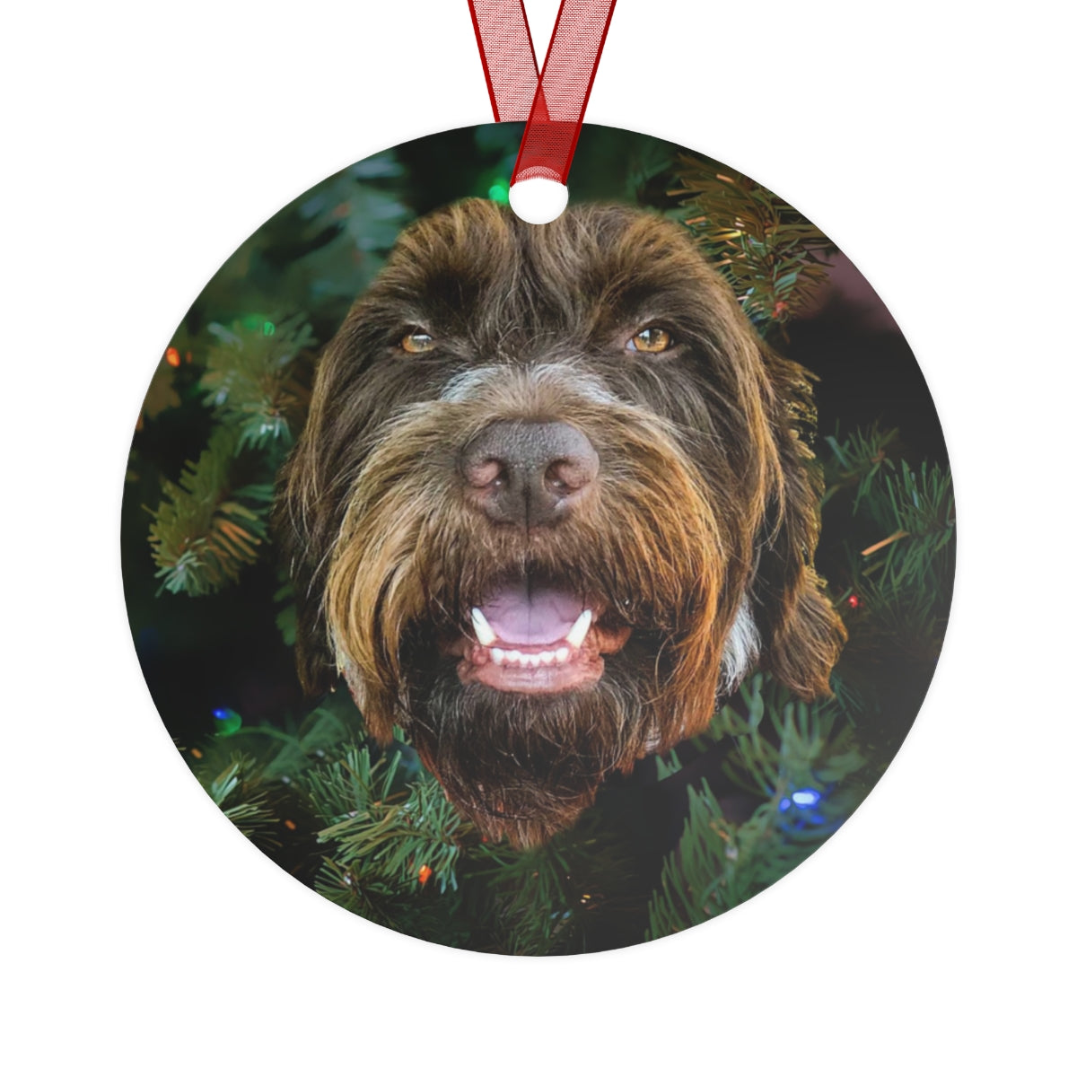 Jagger 2022 Metal Ornaments