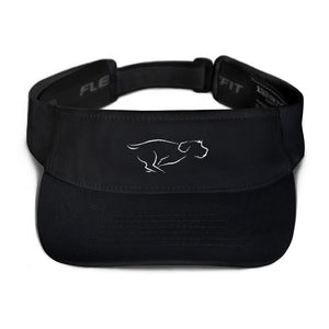 ZOOMIES visor