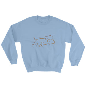 DOUBLE ZOOMIES sweatshirt (available in Europe)