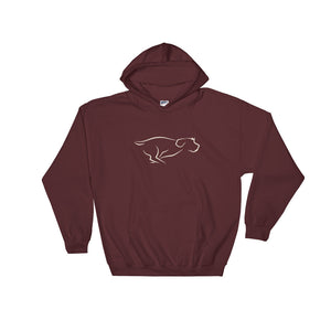 ZOOMIES hooded sweatshirt