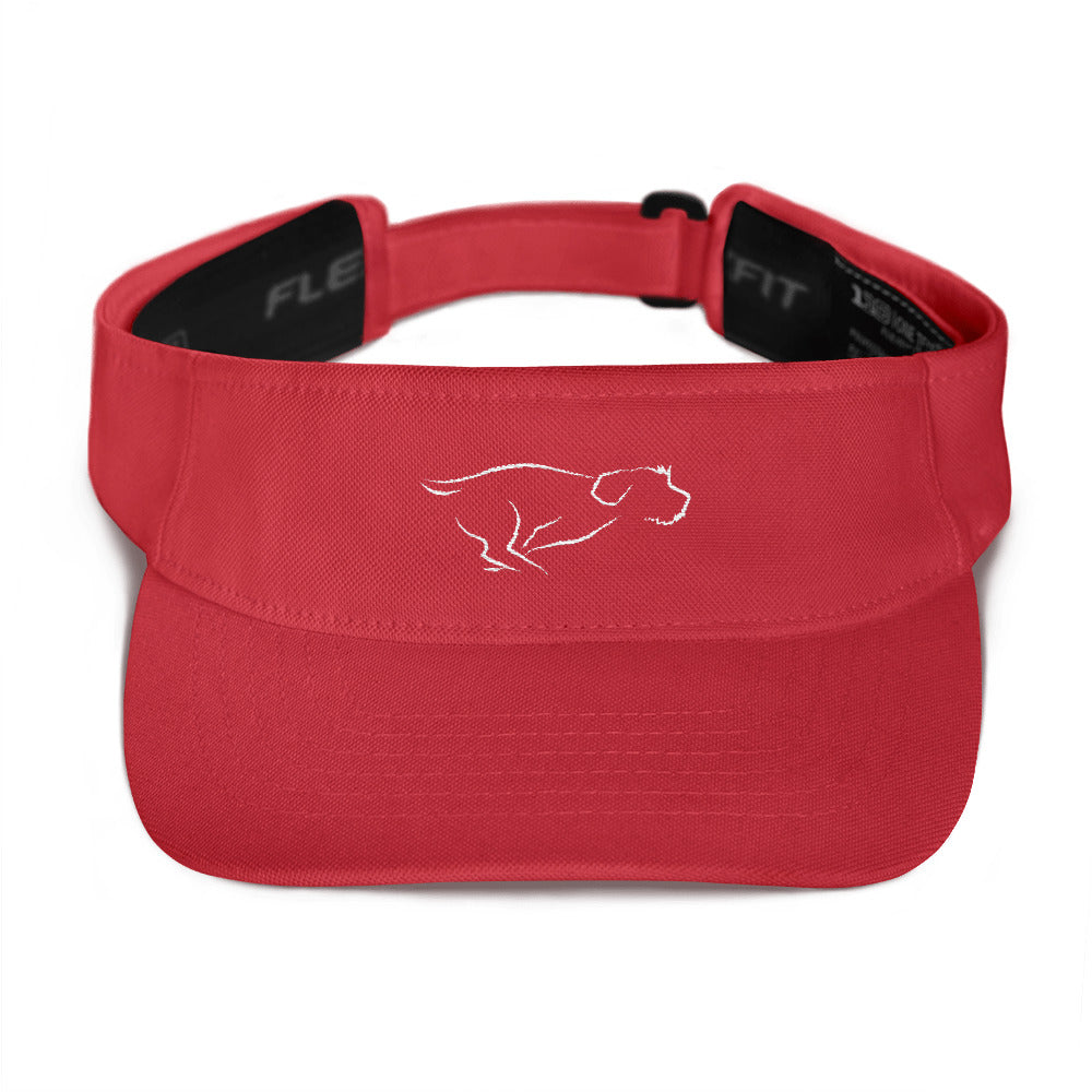 ZOOMIES visor