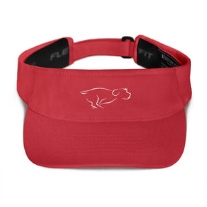 ZOOMIES visor