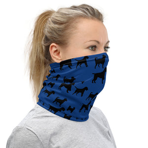 GANG BLUE Neck Gaiter
