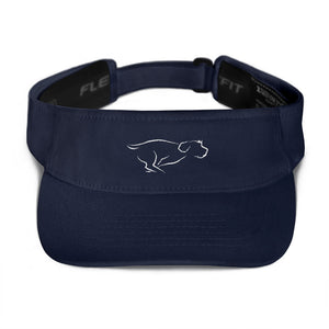 ZOOMIES visor