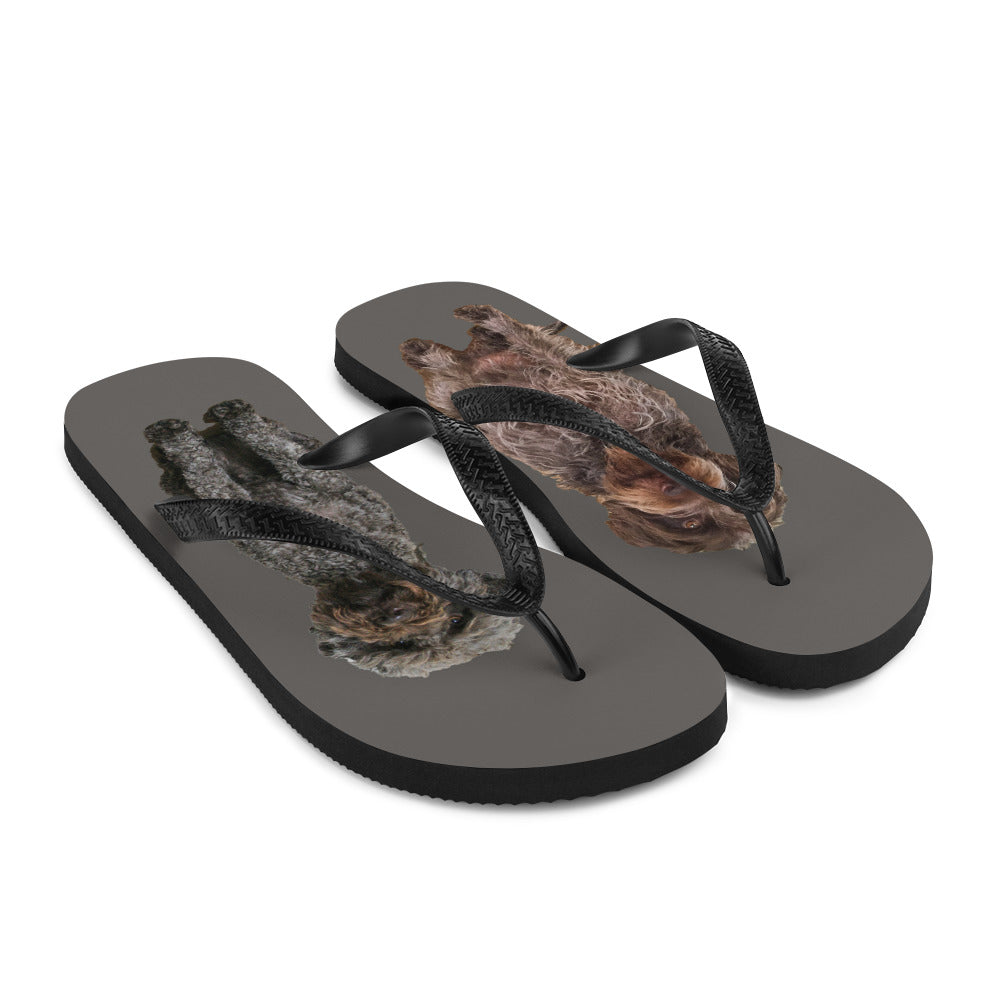 GRIFF and LAGOTTO Flip-Flops