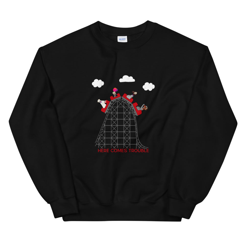 CREW ROLLERCOASTER sweatshirt