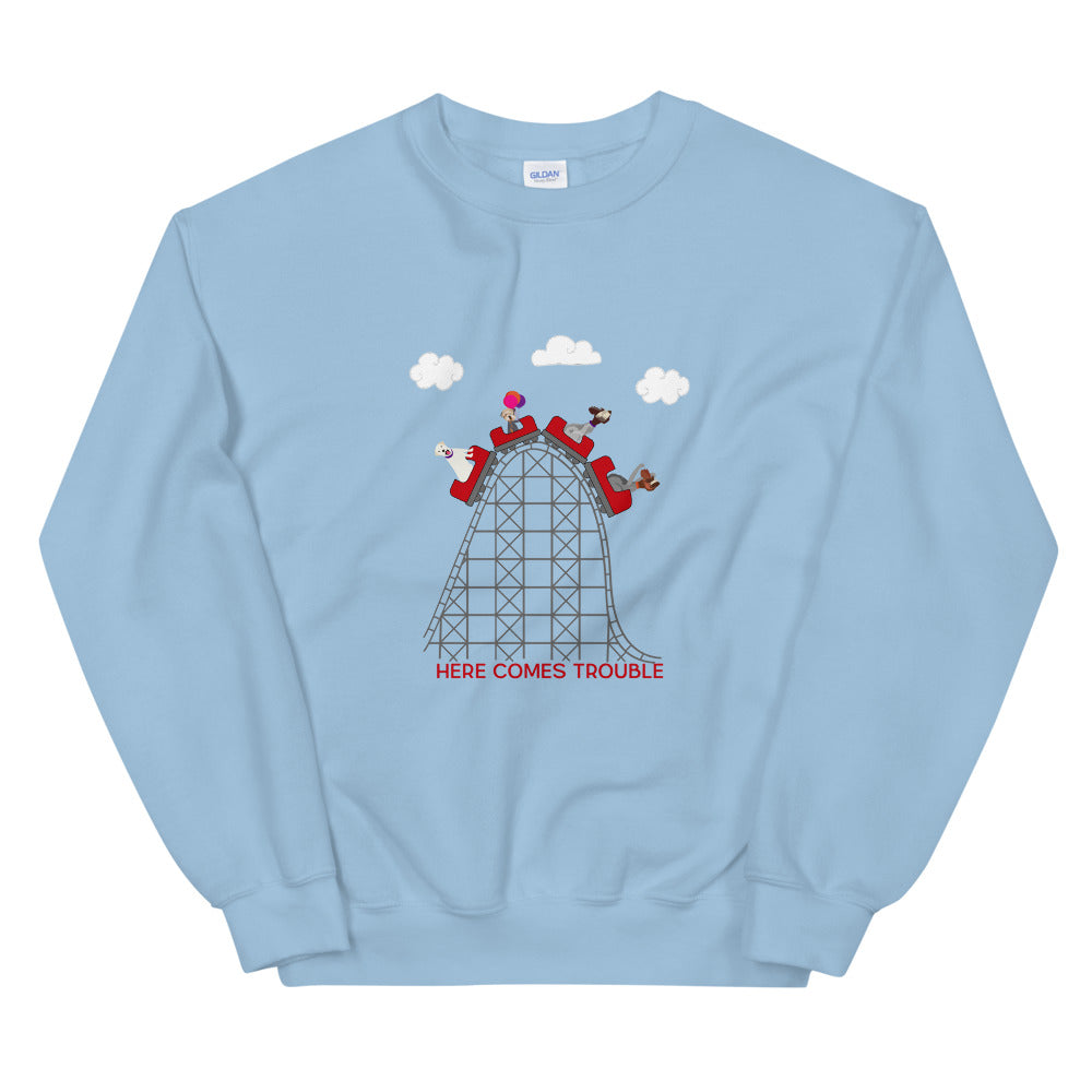 CREW ROLLERCOASTER sweatshirt