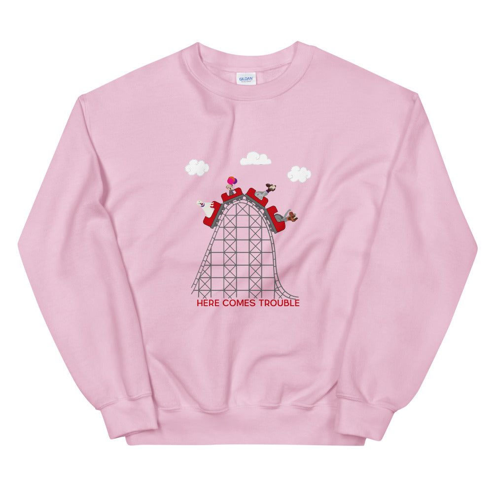 CREW ROLLERCOASTER sweatshirt