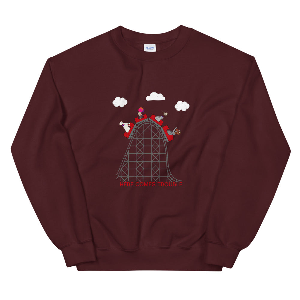 CREW ROLLERCOASTER sweatshirt