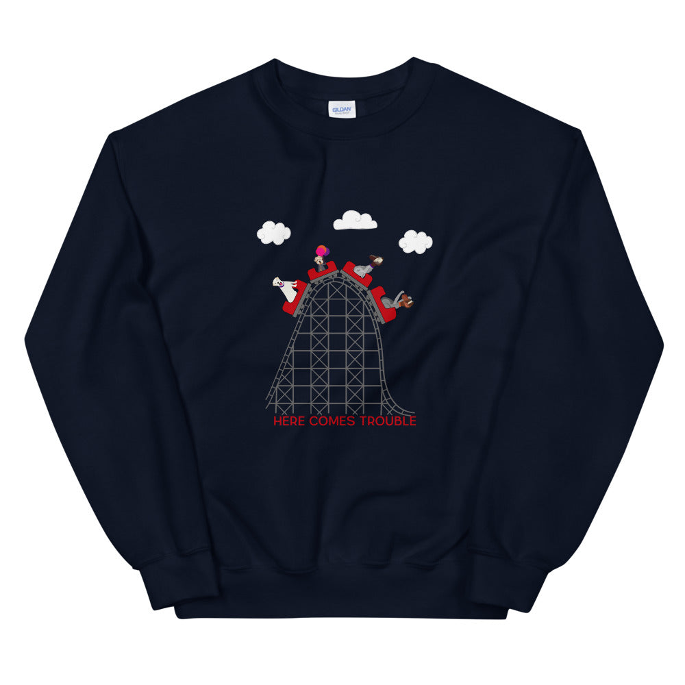 CREW ROLLERCOASTER sweatshirt