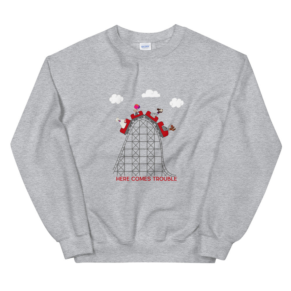 CREW ROLLERCOASTER sweatshirt